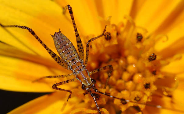 It's important that you follow all the recommendations of your healthcare provider, as or else taking metformin is not going to be as beneficial for you.