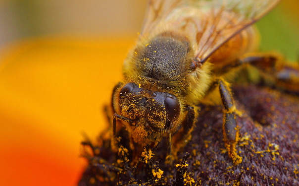 You need to not take Metformin in addition to hormones, phenothiazines, blood pressure medication, thyroid gland medicine, seizure steroids, diuretics or medications, as those can interact with your treatment and influence its efficiency.